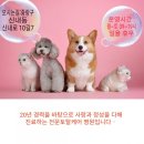 진서동물병원 이미지
