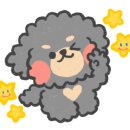 바른체형힐링센터 이미지