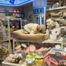 주식회사 소울엑스 | [서울/코엑스] 버터 코엑스점 #버터 #소품샵 #디즈니콜라보