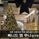 빠니드 엠 무니 | 압구정 리본 크로아상 두쫀쿠 대형트리 카페 내돈내산 후기