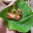 교동곰장어 이미지