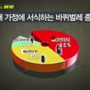 해충탈출넘버원 - 익산시 | 해충탈출넘버원