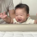 2022-주176 이미지