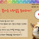 48 싸이클 이미지