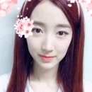 하나시 Daum카페