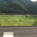 정리마을회관 이미지