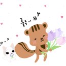 멜로디홍