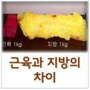 제주메디 이미지