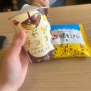 2호광장 엄옥철치과 | 4월