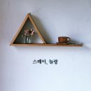 정류장_모슬포 남항 여객선 터미널 | 여자 혼자 뚜벅이 제주여행_2일차