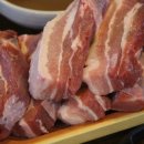 엉터리생고기 이미지