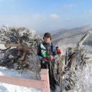 유일사 이미지