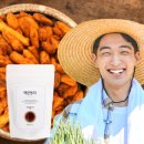 청년 주택드림 청약통장 vs 기존 주택청약, 전환 시 납입회차 인정 여부와 혜택 차이 안내
