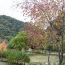 산소길 이미지