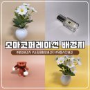 준코퍼레이션 | 소마코퍼레이션 촬영배경지, 똥손 탈출하는 넉넉한 사이즈 양면 배경지 솔직후기