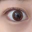 [분당 판교] 판교역 속눈썹펌 잘하는 곳, 손상 없는 아르누아
