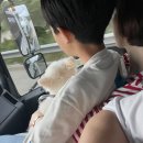 키앤정 부작용 효과 내돈내산 복용법 후기