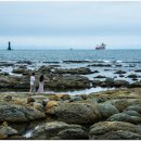 포항시남구28 이미지