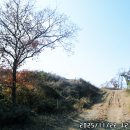 대부해솔길 3코스 Daum카페