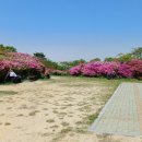 백양산임도(2) 이미지