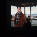 라비돌 이미지