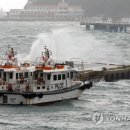 완도17호 이미지