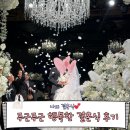 행복한머리 | 나의 웨딩 : 웨스틴 서울 파르나스에서 행복한 결혼식 후기(1). 1부, 2부, 웨딩날 본식스냅 더블라썸.