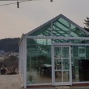 강릉애 진심 이미지