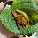 울산 달동 맛집 또바기쌈밥 내돈내산 솔직후기
