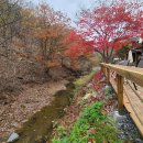 스테이인터뷰장태산 이미지