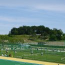 강남축구공원 Daum카페