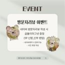 오브벨유 | 부산 서면 부케말리기 공방 센오브유 내돈내산 후기