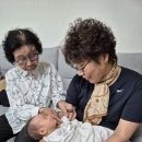 충청도는 내 고향입니다 이미지