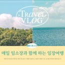 태풍반점 이미지