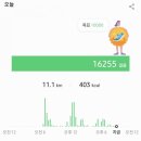 라니 이미지