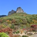 단풍 - 문경시 당교10길 17-3 | 단풍