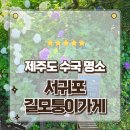멍그루 | 제주도 서귀포 수국명소 안덕면 동광리 길모퉁이가게 수국길 방문후기