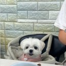 24시참새방앗간 이미지