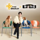 닥터마트