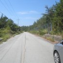 금일읍시장 이미지