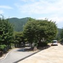 야영장(1) 이미지