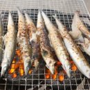 속초항갯배 이미지