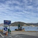 구항농장 | 거제도의 봄, 노란 수선화 물결이 일렁이는 ‘공곶이’ 방문기 + 축제 정보🌼