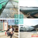 장용농장 이미지