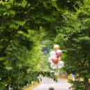 16_토탈 이포토에세이 웨딩촬영📸 색다른 로드씬 후기🌳