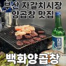 백화 | 부산 자갈치시장 양곱창 맛집 백화양곱창 후기