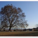 와촌초등학교 이미지