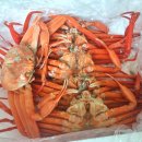 박달우체국_동 | 대게 박달 홍게 인터넷 배송 돌쇠네농산물 내돈내산