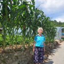 딱!여그서 이미지