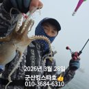 킹스타 Daum카페